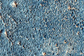Terrain Sample