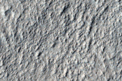 Terrain Sample