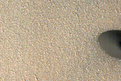 Terrain Sample
