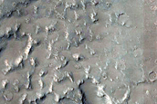 Fan in Crater North of Nepenthes Mensae
