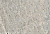 Terrain in Utopia Planitia