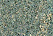 Terrain Sample