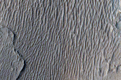 Terrain in Lycus Sulci