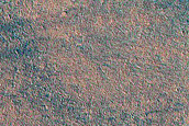 Northern Plains Monitoring