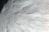 Frost Survey in Fresh Crater with Steep Slopes