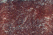 North Polar Dunes near Dune-Free Patch