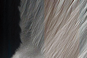 Frost Survey in Fresh Crater with Steep Slopes