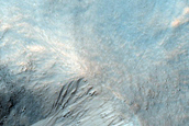 Equatorial Gullies