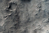 Terrain Sample
