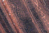 North Polar Layered Deposits