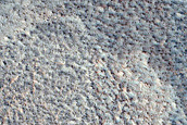 Terrain Sample