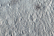 Monitoring New Impact Site