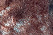 Dune Monitoring near Utopia Rupes