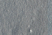 Unit Contact on Northern Plains