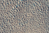 Northern Plains Monitoring