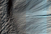 Monitor Frost in Corozal Crater