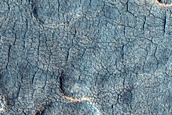 Scalloped Depressions in Utopia Planitia