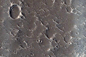 Terrain Sample
