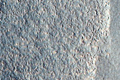Gullies in Northern Mid-Latitude Crater
