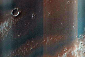 Dune Survey