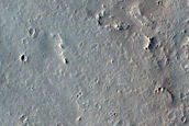 Platy-Ridged Lava