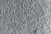 Gully Monitoring
