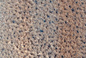 Terrain Sample