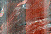 Matara Crater Dune Gully Monitoring