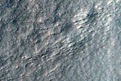 Gully Monitoring