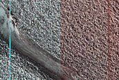 Louth Crater Monitoring