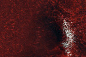 Monitor Perennial Ice