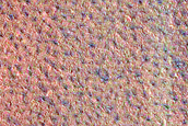 Northern Plains Monitoring