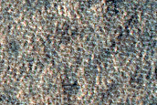 Terrain Sample