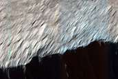 Frost Survey in Steep and Fresh-Looking Crater