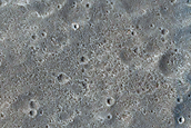 Nepenthes Planum