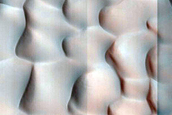 Dune Survey