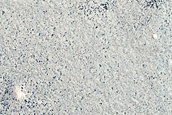 Terrain Sample