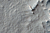 Candidate Recent Impact Site