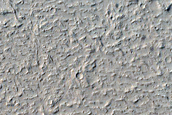 Candidate Recent Impact Site