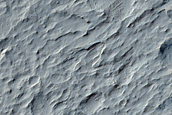 Terrain Sample