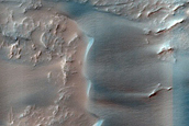 Dune Survey