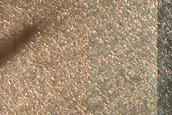 Dunes in Polar Terrain