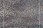 Ice-Sand Transition Area
