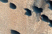Barchan Dunes in North Polar Layered Deposits