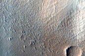 Elysium Fossae Infills
