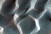 Dune Survey