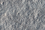 Terrain Sample