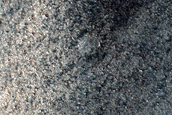 Terrain Sample