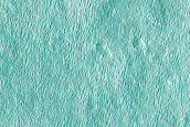 Terrain Sample