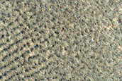 Terrain Sample
